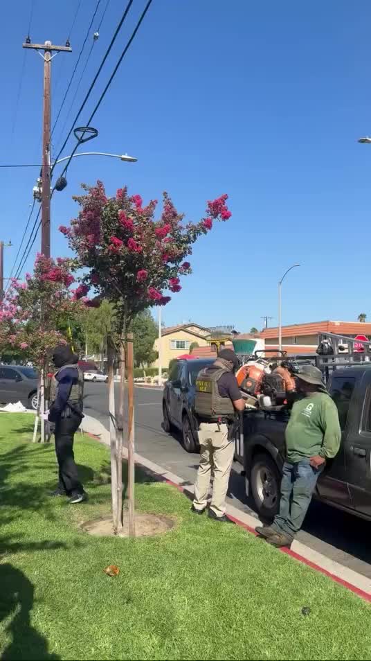 Individuals wearing masks were observed today at approximately 9:46am at the intersection of South Mountain View Avenue and…