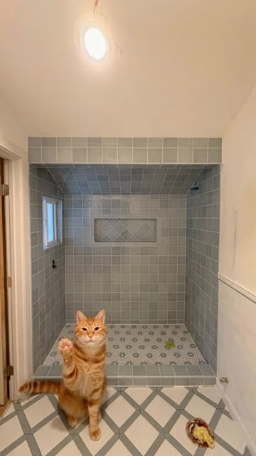 POV: you hired the most hardworking tile installer in California… 🐱🔨😂 From demo to the final tile, he…