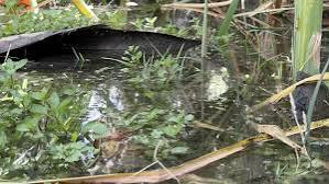 Water reuse project sparks debate over San Pascual Park